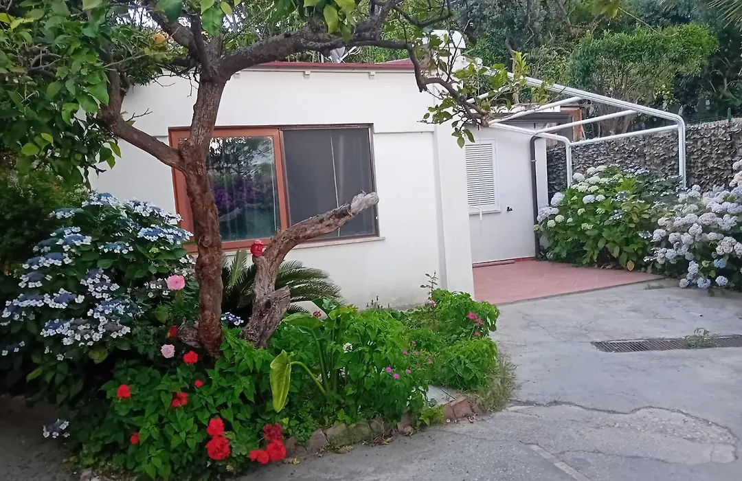 La Dracena Holiday home *